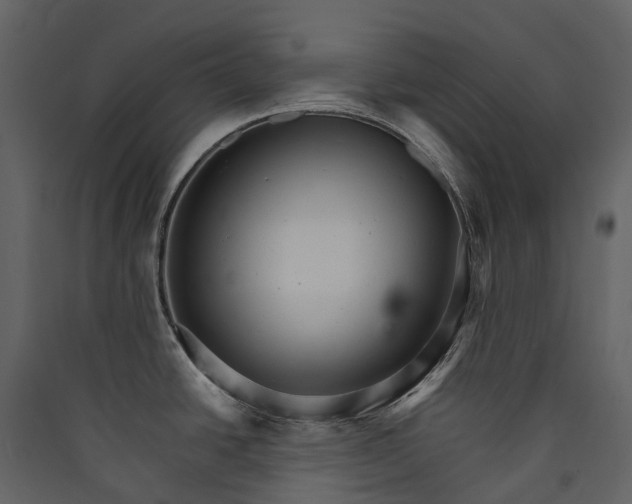 X0000089941438200707131444