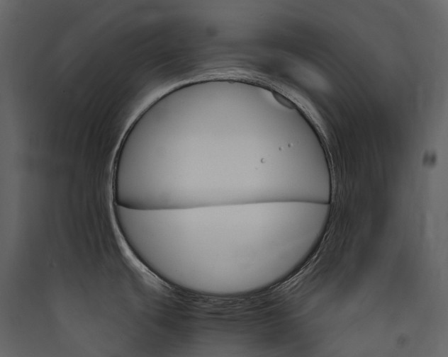 X0000089941439200707131444