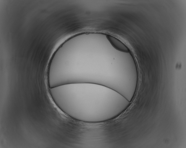 X0000089941440200707131444