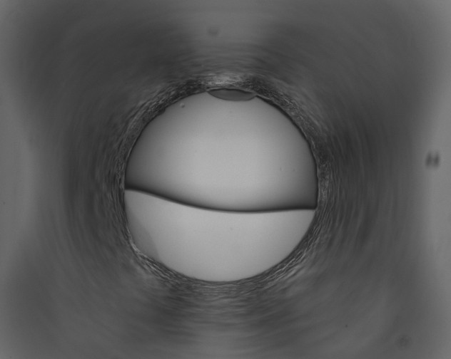 X0000089941441200707131443