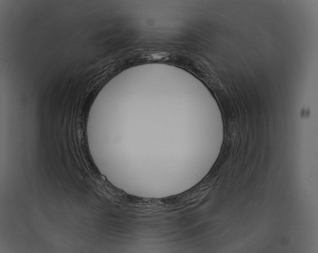 X0000089941442200707131443