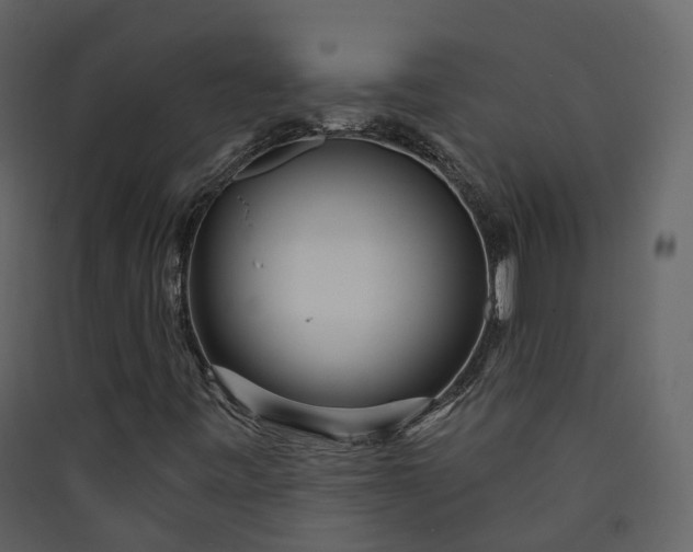 X0000089941443200707131443