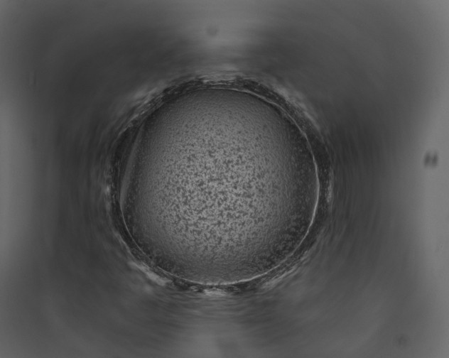 X0000089941445200707131443