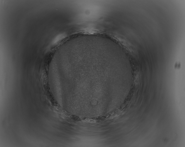 X0000089941446200707131443