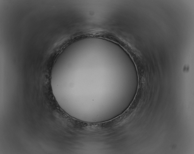 X0000089941447200707131443