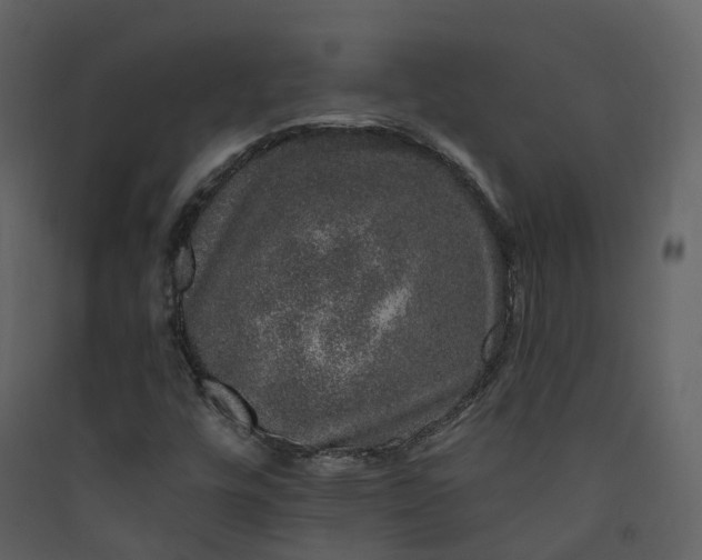 X0000089941448200707131443