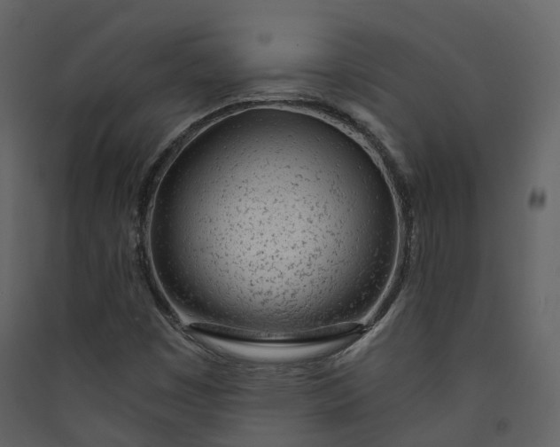 X0000089941449200707131443