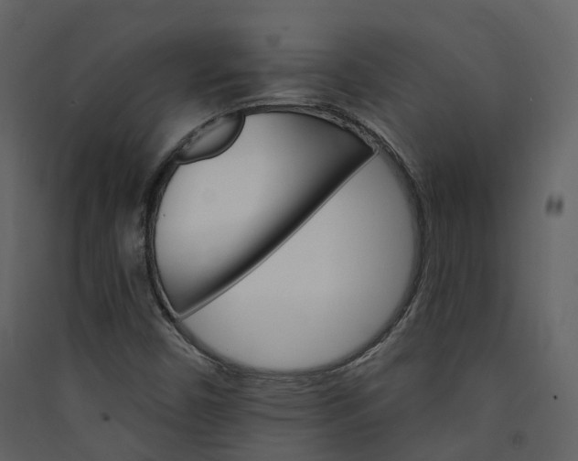 X0000089941450200707131443