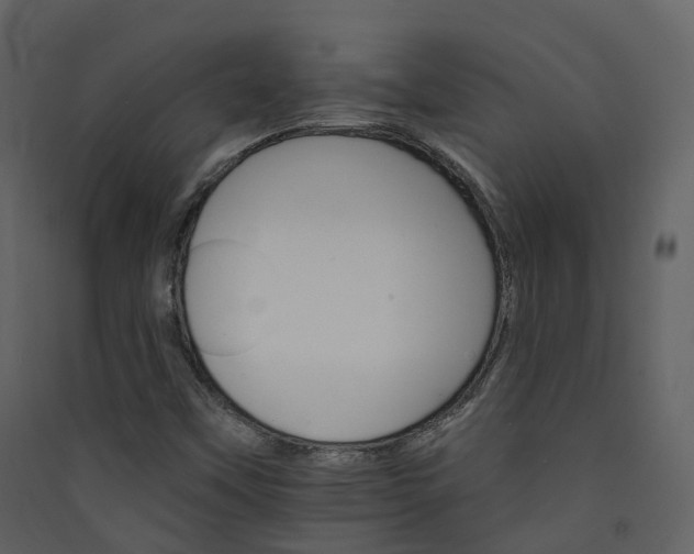 X0000089941451200707131443