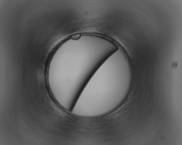 X0000089941452200707131443