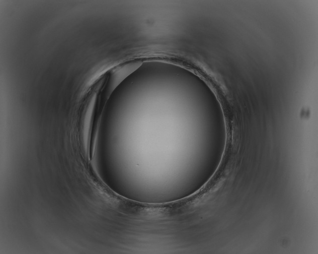 X0000089941453200707131443