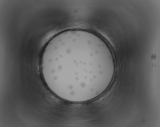 X0000089941455200707131443