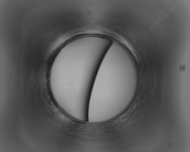 X0000089941456200707131443