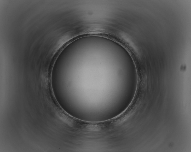 X0000089941457200707131443