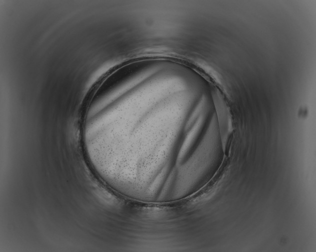 X0000089941458200707131443