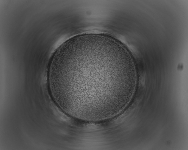 X0000089941459200707131443