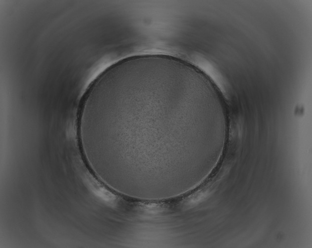 X0000089941460200707131443