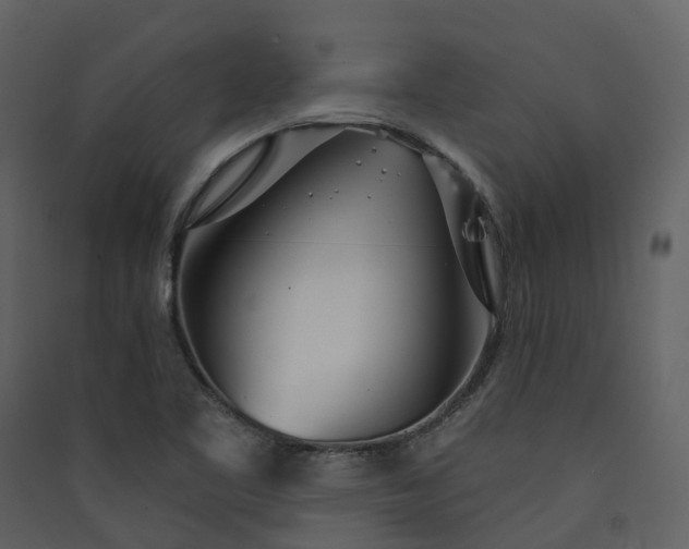 X0000089941461200707131443