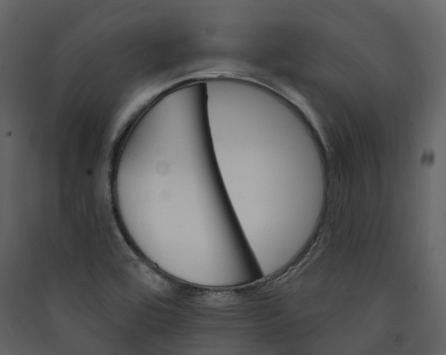 X0000089941464200707131443