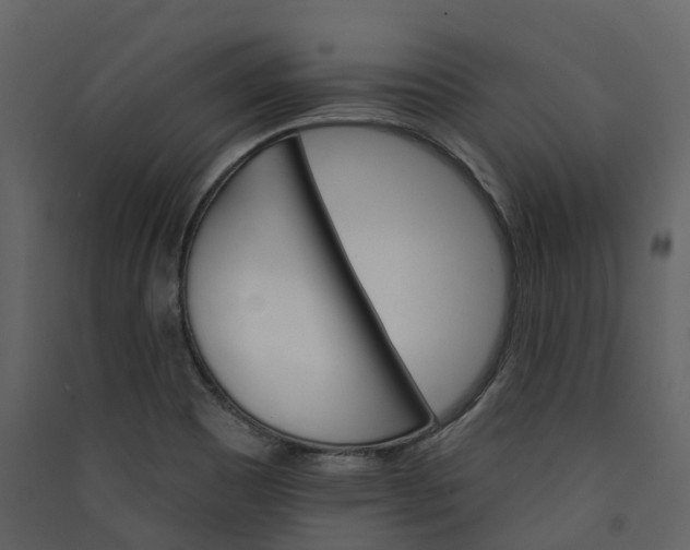 X0000089941465200707131443