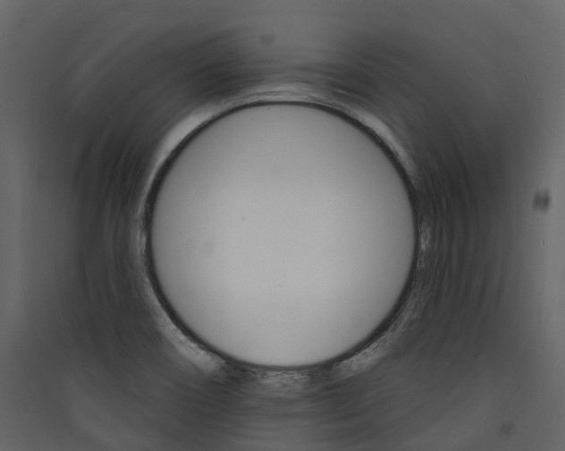 X0000089941466200707131443