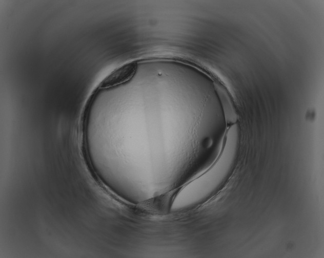 X0000089941467200707131443