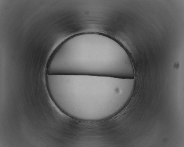 X0000089941468200707131443