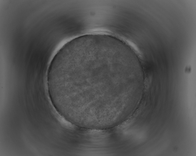 X0000089941470200707131443