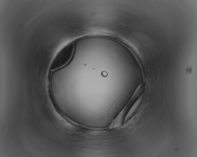 X0000089941471200707131443