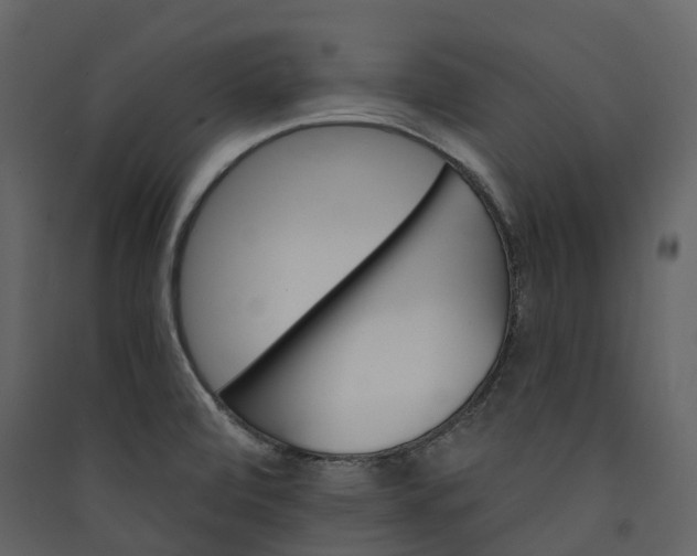 X0000089941472200707131443