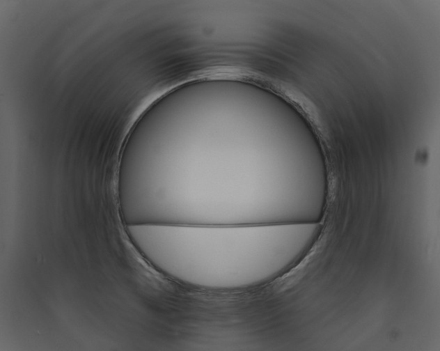 X0000089941473200707131443