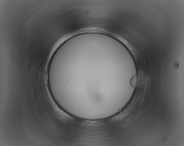 X0000089941474200707131443