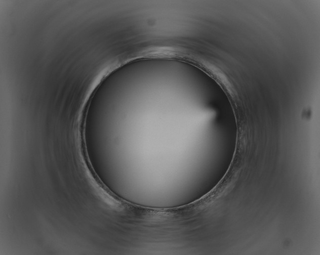 X0000089941475200707131443