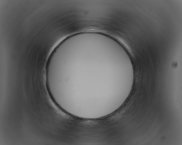 X0000089941476200707131443