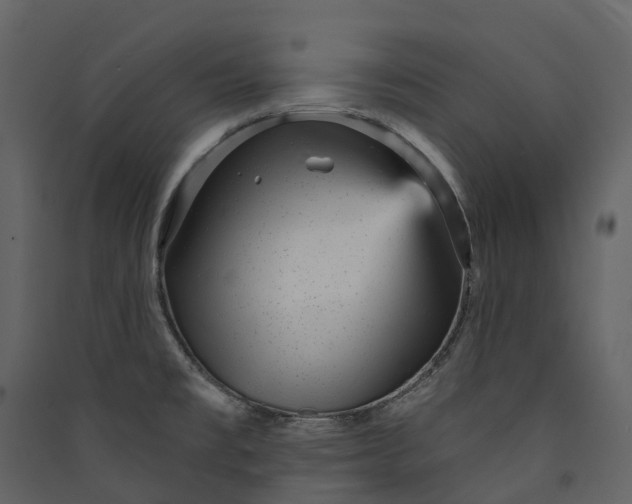 X0000089941477200707131443