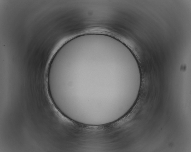 X0000089941478200707131443