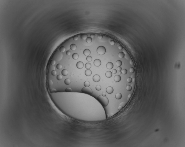 X0000089941479200707131443