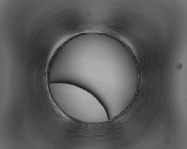 X0000089941480200707131443