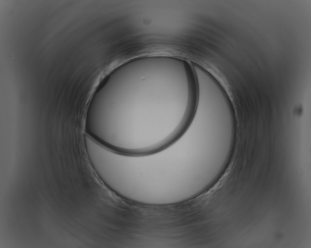 X0000089941481200707131443