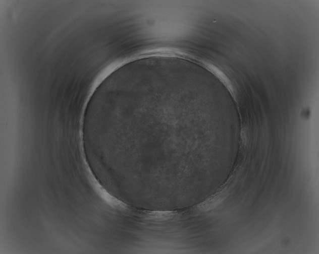 X0000089941482200707131443