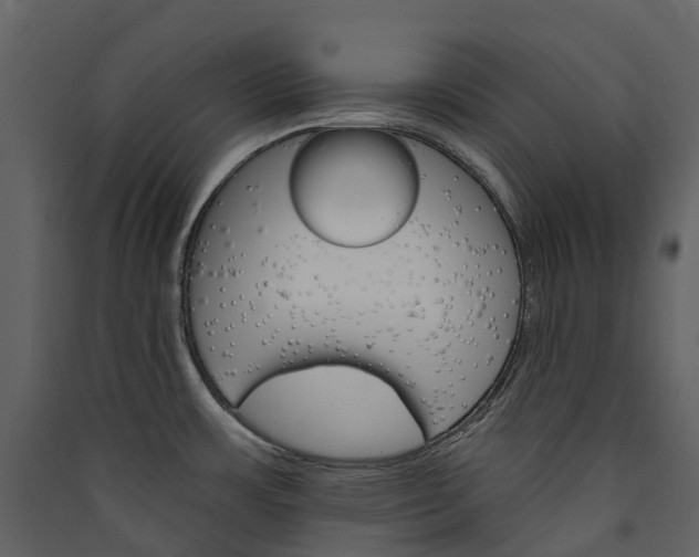 X0000089941483200707131443