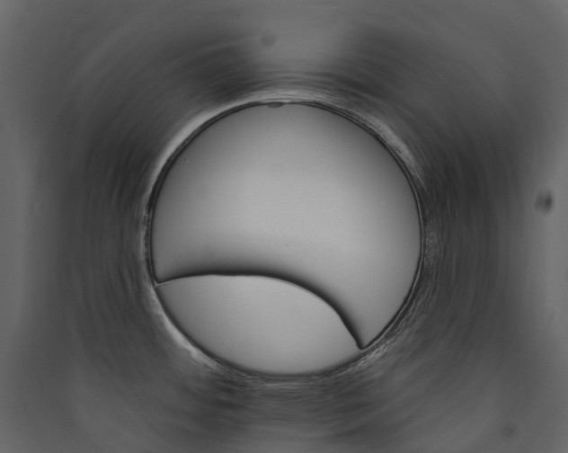 X0000089941484200707131443