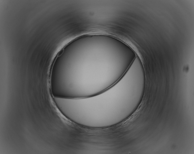 X0000089941485200707131443