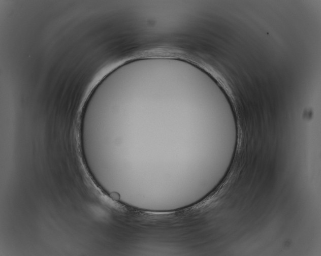 X0000089941486200707131443