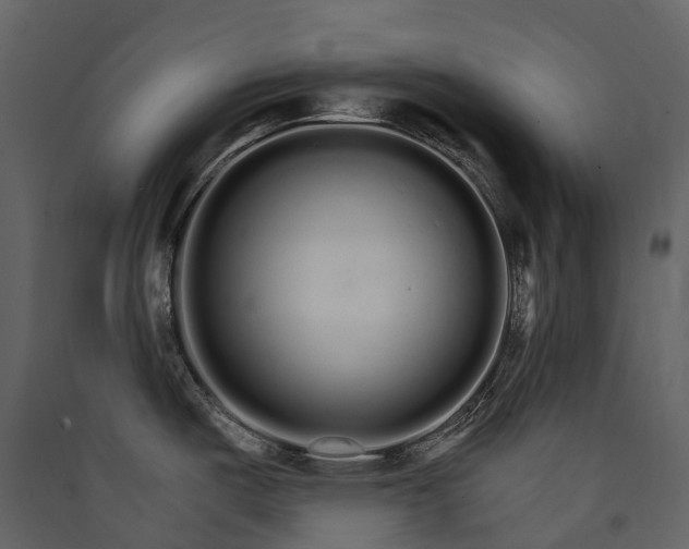 X0000089941487200707131443