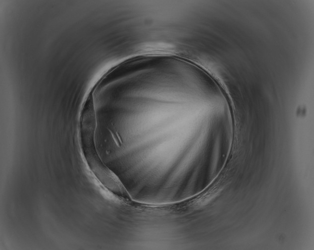 X0000089941488200707131443