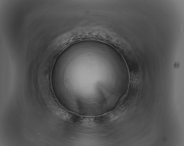 X0000089941489200707131442