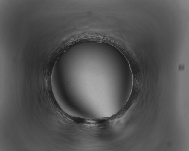 X0000089941490200707131442