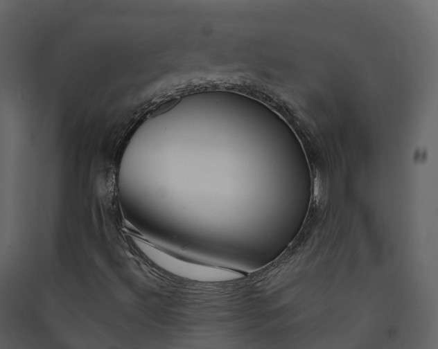 X0000089941492200707131442