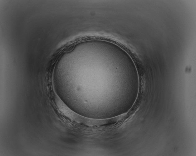 X0000089941494200707131442